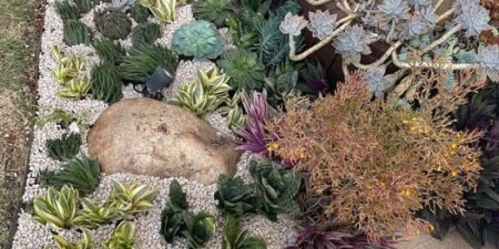 1c61664edd19f996a0bb1588c17d87930cf1e343