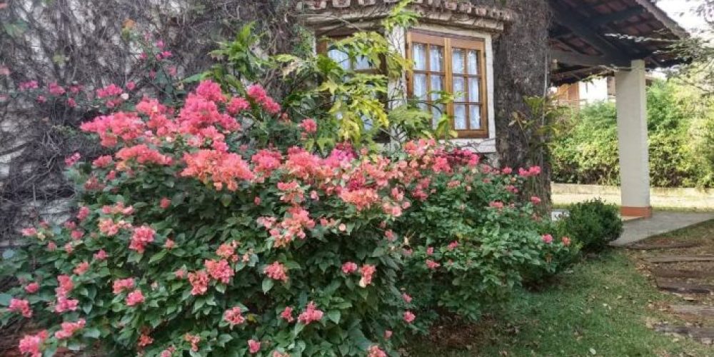 1e18dbcd3b833f3e00ca4789e7b5c807359af7b1