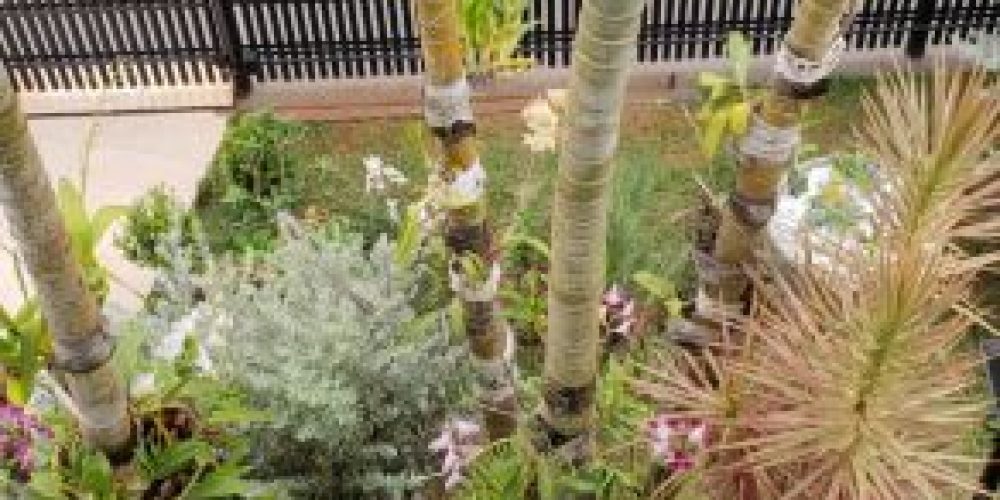 24ece390047a55eb106af91696470a870f70a355