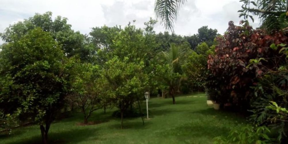 6812a481c2ab5c2408cb5fcde26713a49e25c9b0