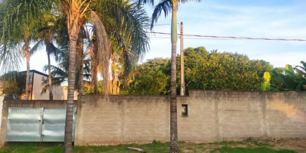 77dffc53fdf6dc5ff72714a26f7251df1f6a1fe3