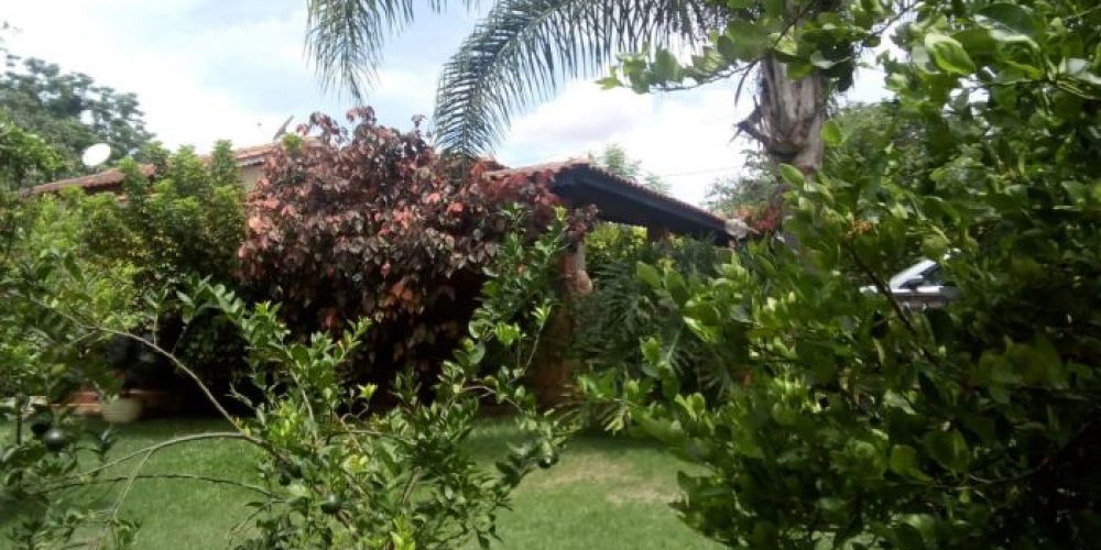 7c87fd5aec58b52fbfe2c3342d91f27f6b5a117d