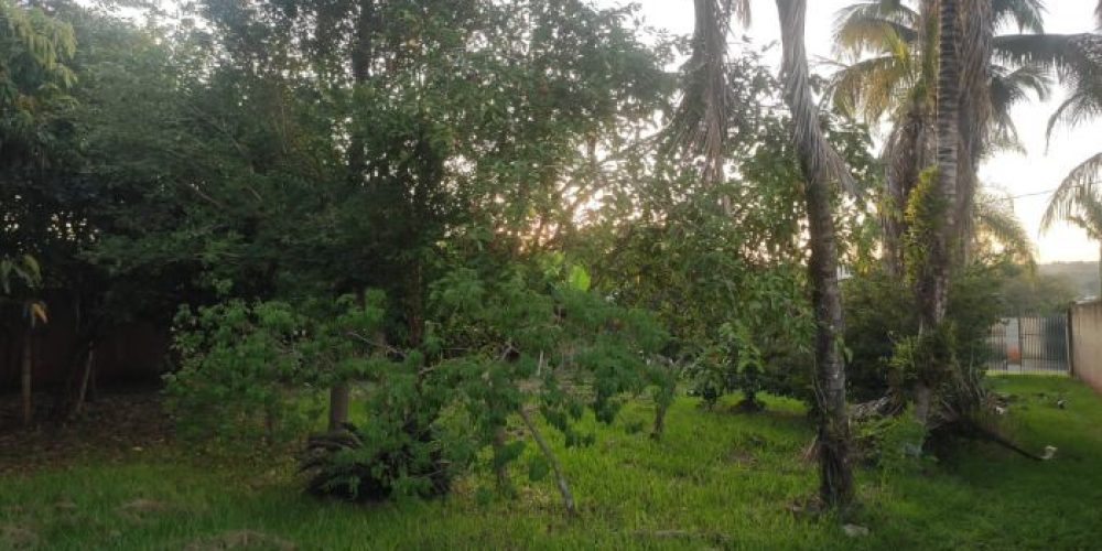 904ea8737507a59de1288b9a90199316119db93f