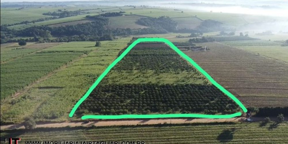 95b0491ef6487a849cbc5b15dce2da6c17efb694