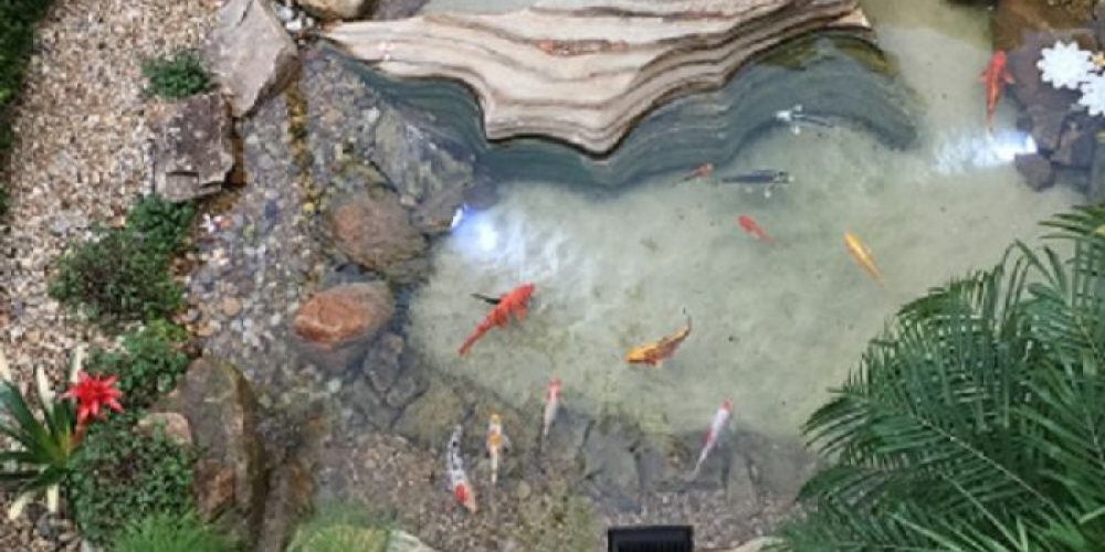 9cb4d8ff122f71a650b7417e042b5045c11f7f21