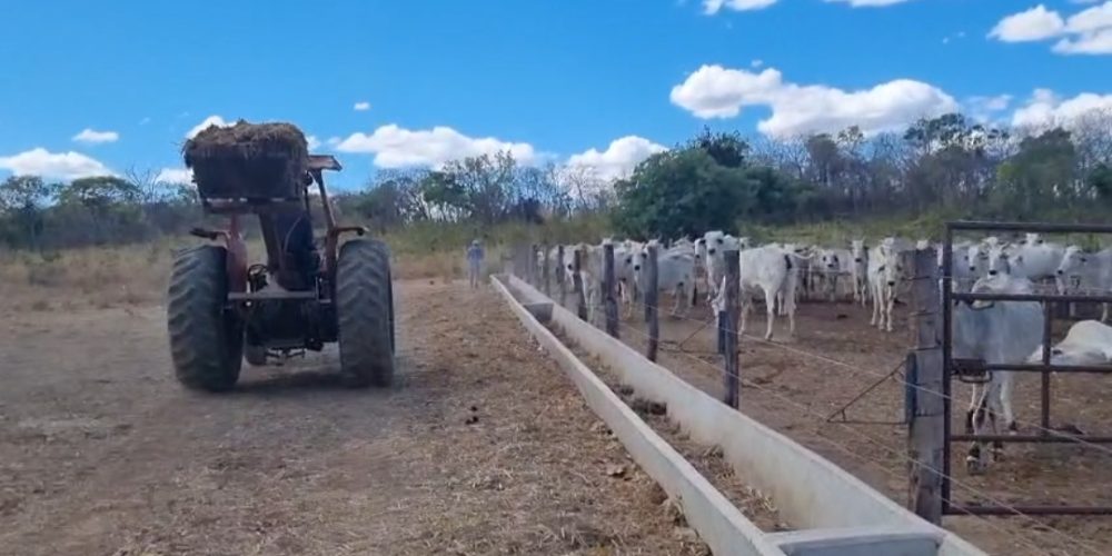 Screenshot_20260131_083509_Gallery