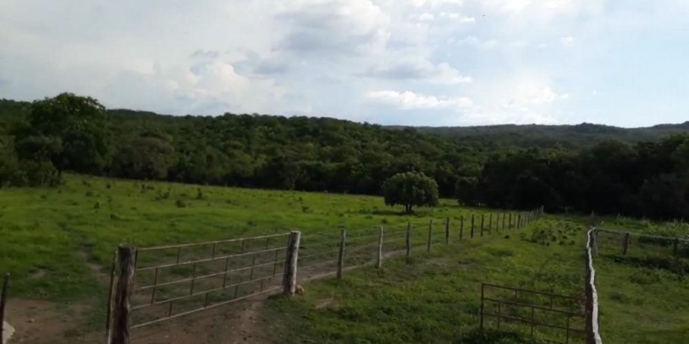 Screenshot_20260131_083522_Gallery