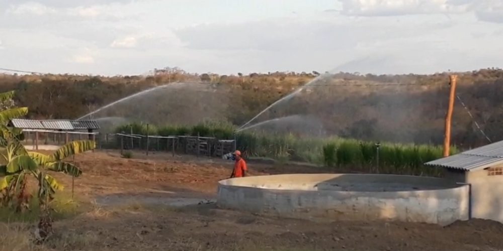 Screenshot_20260131_083533_Gallery