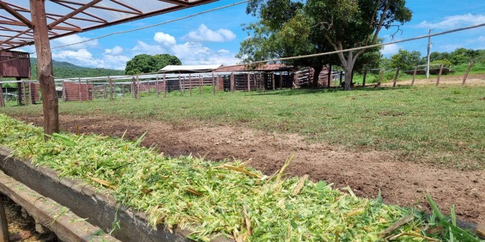 Screenshot_20260131_083608_Gallery