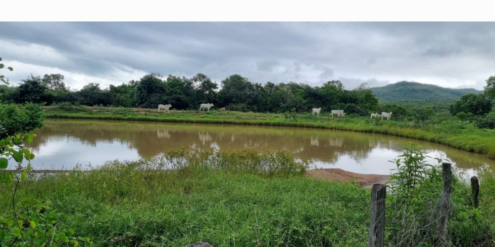 Screenshot_20260131_083621_Gallery