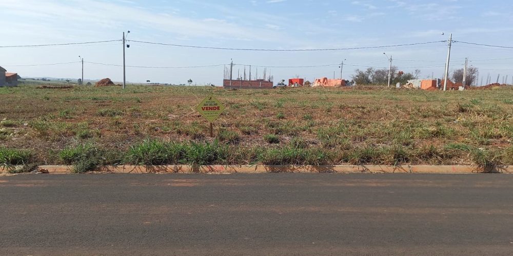 WhatsApp Image 2024-07-12 at 15.10.43 (1)