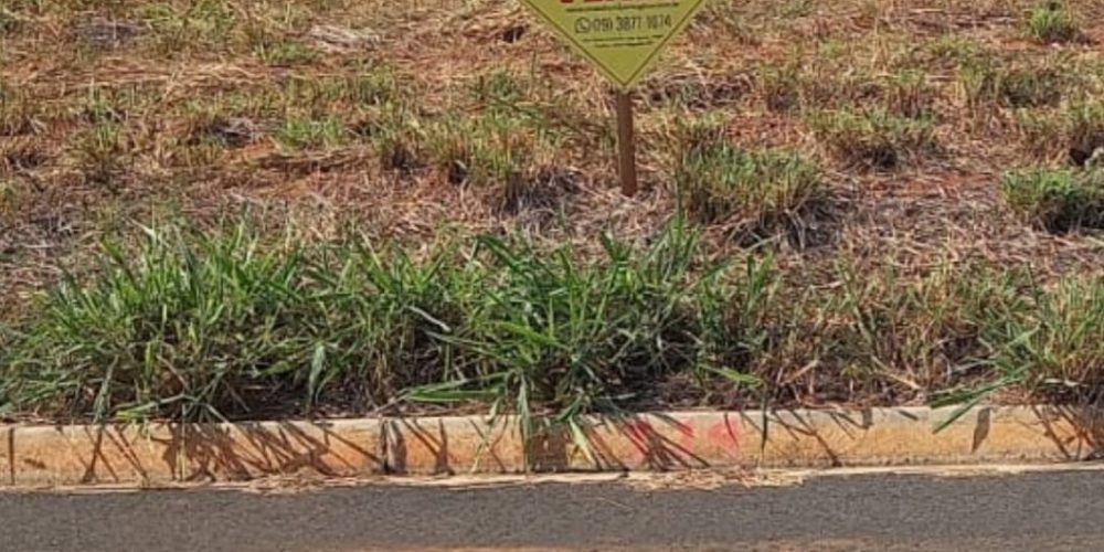 WhatsApp Image 2024-07-12 at 15.13.52 (1)