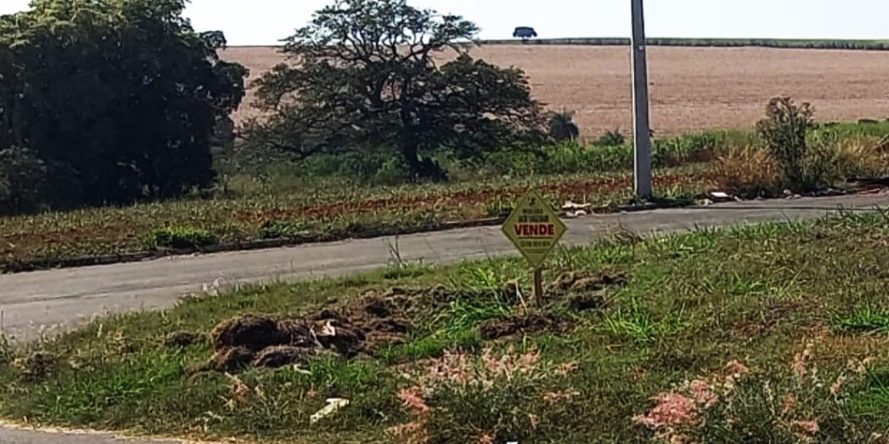 WhatsApp Image 2024-07-20 at 09.25.55 (1)