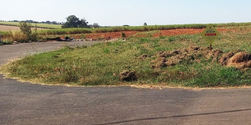 WhatsApp Image 2024-07-20 at 09.25.57 (1)