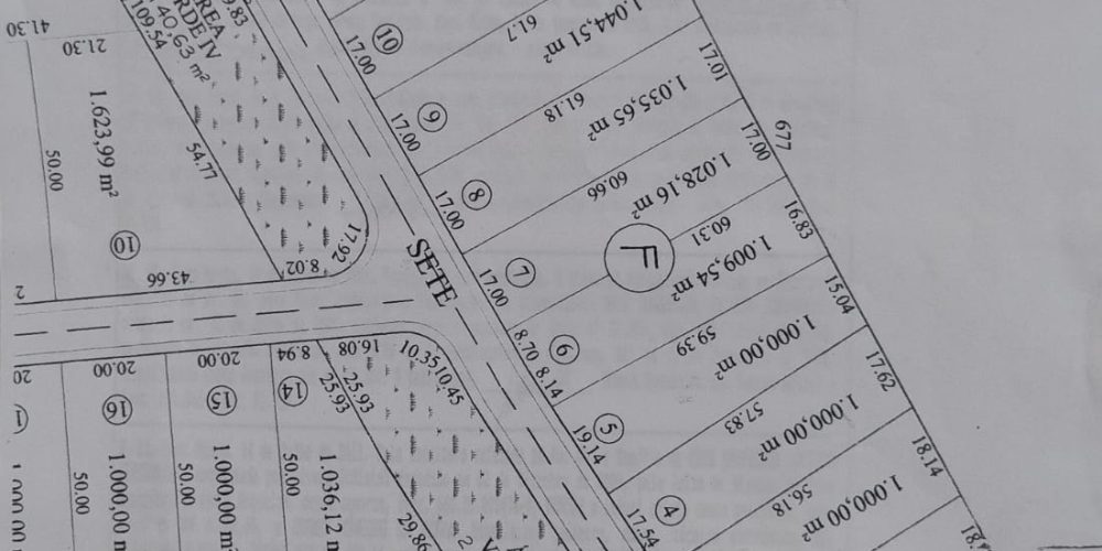 WhatsApp Image 2024-07-29 at 12.50.18