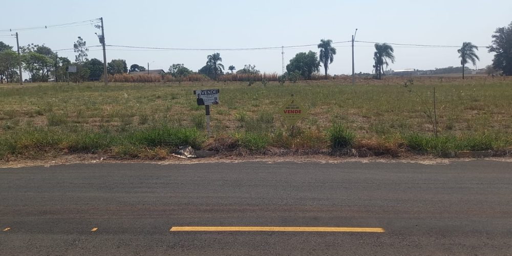 WhatsApp Image 2024-10-08 at 15.42.59