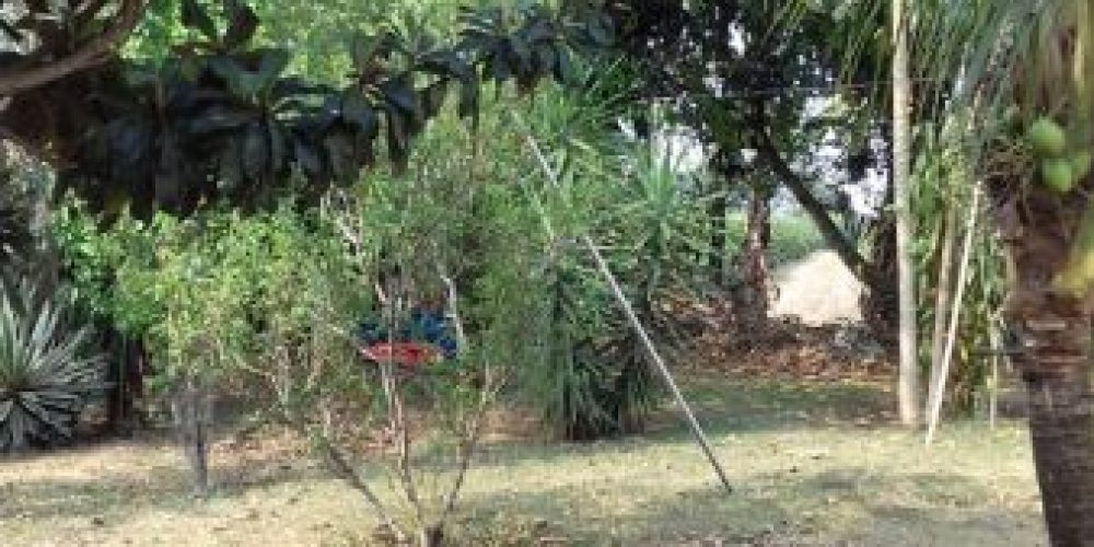 a34486c572b3d5dd1962c8fb7fd882c7daa97aaf