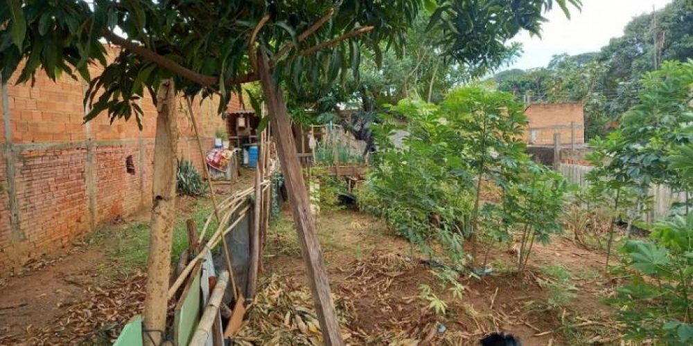 bdccf037c020f2a3ac21fdc54c1fdd69c881e423