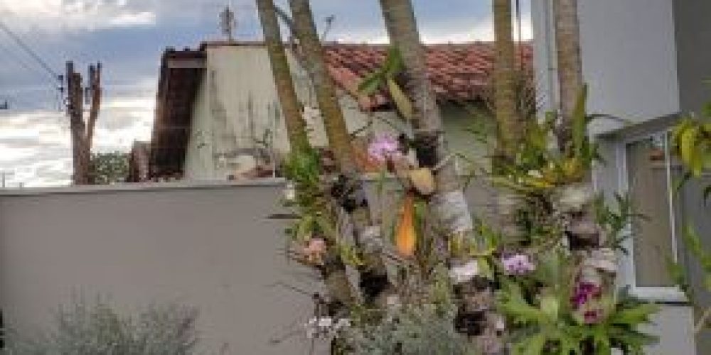 bfa1984a552548c5c312aac4b037d25d1ac3422b