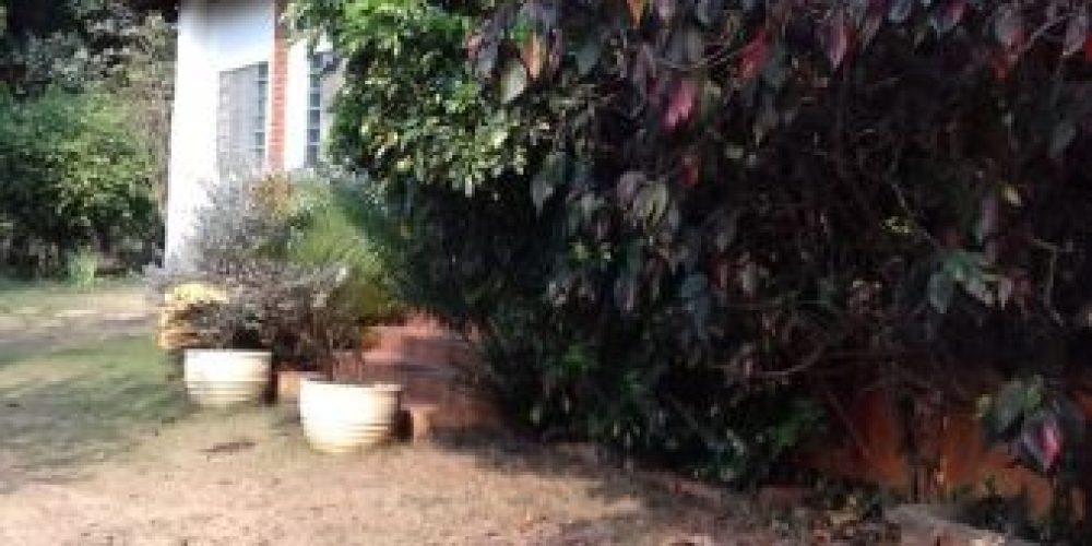 c3bf451f868e4df9dfa6f10d48654bd68623450a